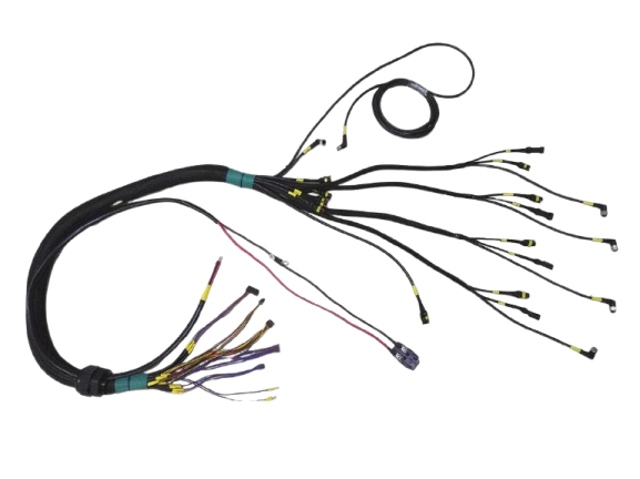 automotive wire harness