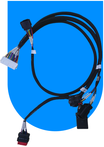 custom wire harness