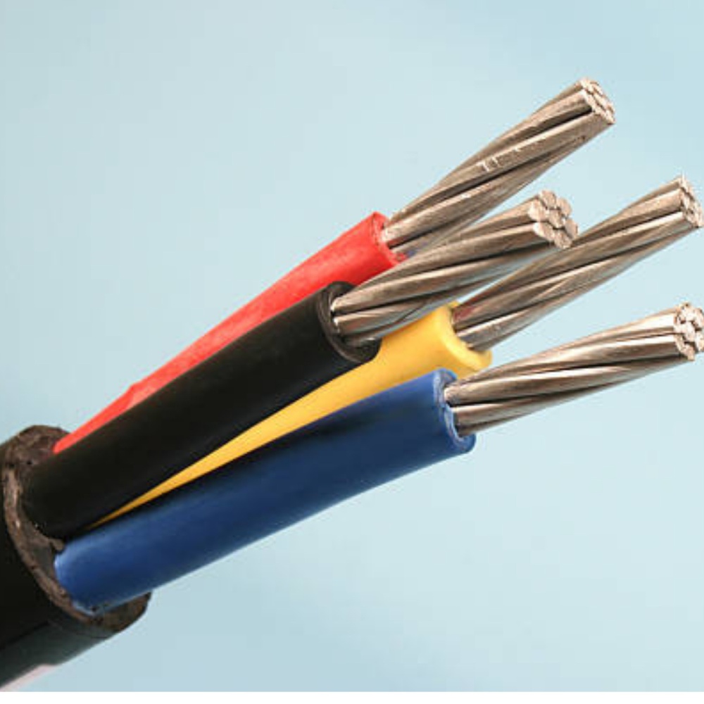 secure termination and locking systems
